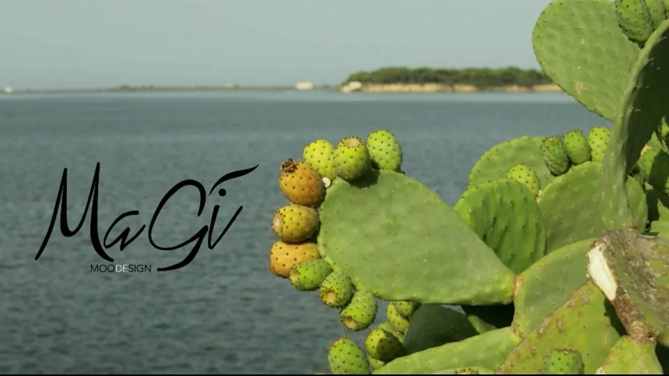 Fichi d'India e mare in un frame del video per Magi Moodesign